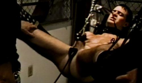 coachcommando:  The Cartel offers its latest acquisition for full inspection to prospective buyers