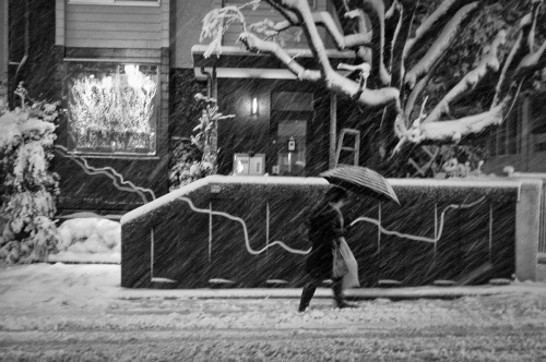 dochuff:Love a snowy night Jiyugaoka, Tokyo I still love a snowy night. 