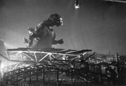 citystompers: Gojira (1954)