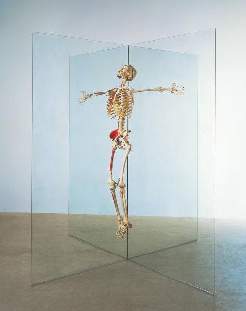 razorshapes:Damien Hirst - Resurrection, 1998-2003 - Glass, steel, aluminium and painted human skele