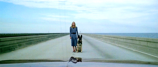 Classichorrorblog The Beyond Directed By Lucio Fulci 1981