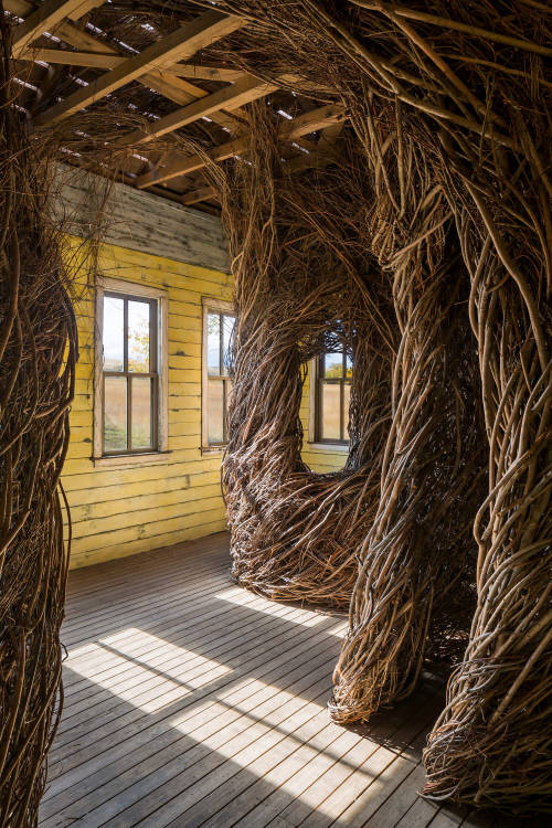 “Daydreams,” Tippet Rise Art Center, Fishtail, Montana, USA, Cushing Terrell in collaboration 
