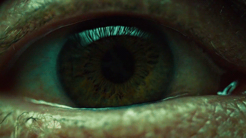 munchmeincookeh:  Flowers - Hannibal S2xE6 &amp; S2xE7 