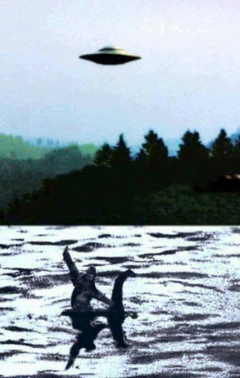 whatareyoureallyafraidof:  I knew it!