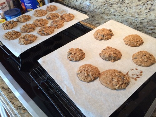 returnerofthesky: I baked this afternoon! These are Rimmen Raisin Cookies from ESO, recipe courtesy 