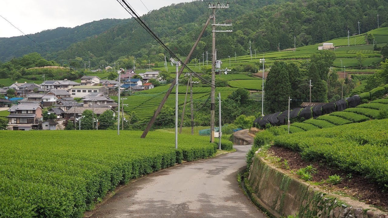 田舎の風景 Explore Tumblr Posts And Blogs Tumgir 田舎の風景 Explore Tumblr Posts And Blogs Tumgir