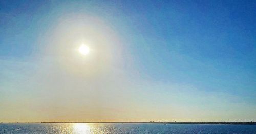 Finally got this shot, looking west down the Caloosahatchee River, Ft Myers Fl. #floridasun #bonsai