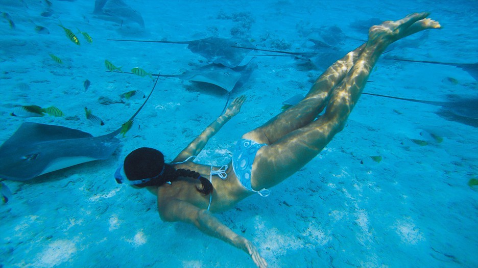 tampabaymike69:Beautiful shots