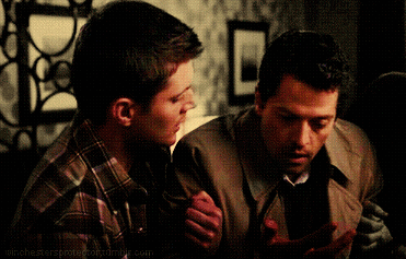 epicallyducky:  &ldquo;They keep saying we, laugh just a little too loud, stand