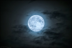 little–mermaid–luna:  Blue Moon
