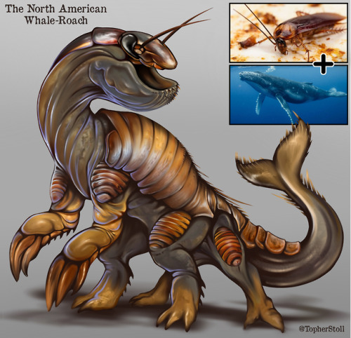 Another creature mashup ! Whale + Roach = Whoach!I&rsquo;m often asked how to create compelling 