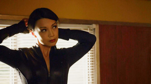 Melinda May Appreciation Month [5/5] scenes-May in a catsuit-T.R.A.C.K.S