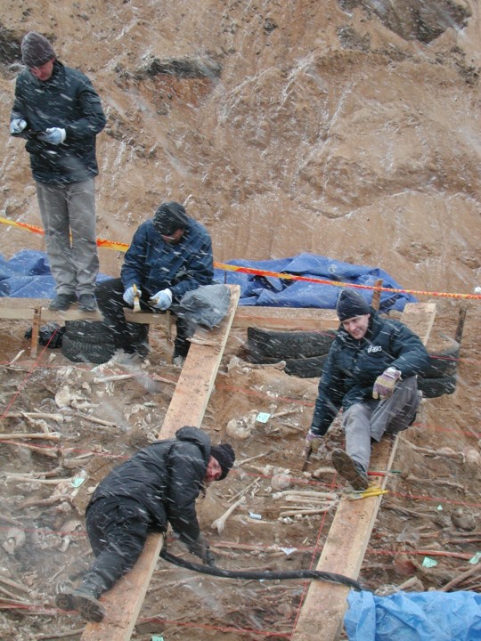 Skeletons Of Napoleon's Soldiers Discovered In Mass Grave