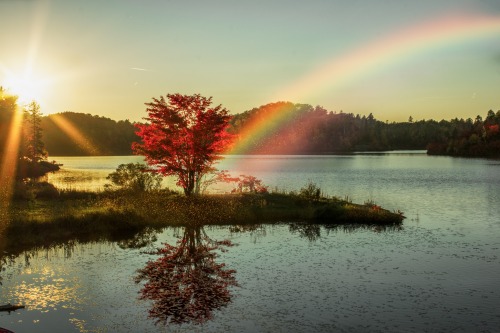 Porn Pics atraversso:  Fall Beauty  by Lee Bodson 