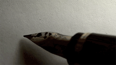 sizvideos:  Watching this guy writing things is so satisfying - Full video