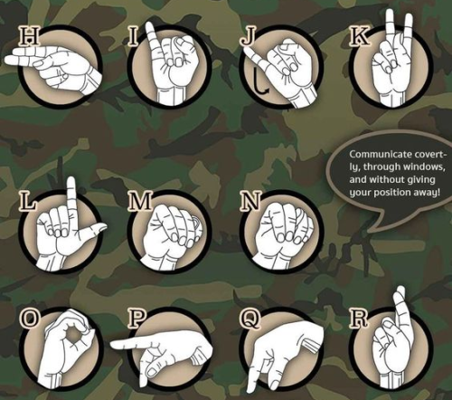 kungfutaichimaster:      Sign language for adult photos