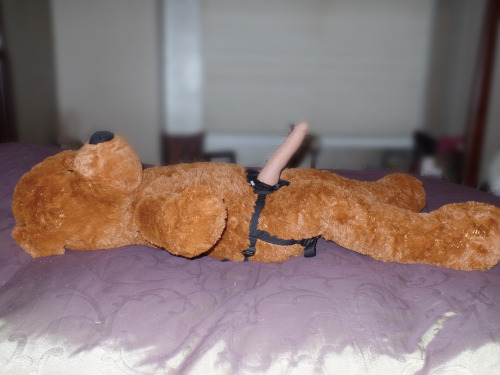 ownedmia:  Every girl needs a teddy bear. ;)