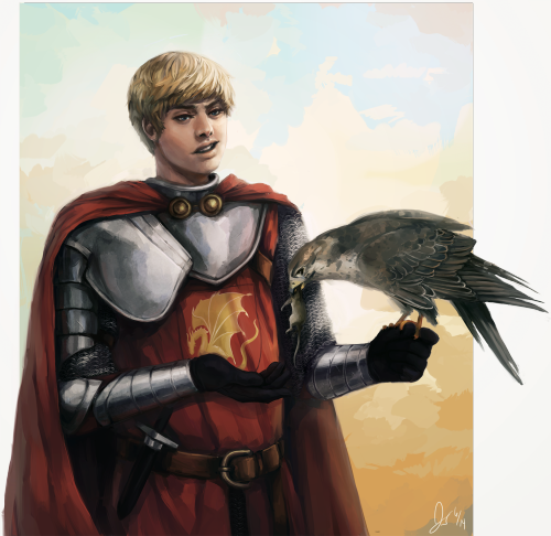 A commission for emudii of Arthur from Merlin with a merlin (lol) falcon. I went to hell and back fo