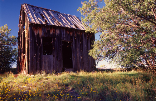 Abandoned America, Southwest USA (October 2013) Kodak E100VS, E200