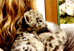 dailyanimals:[x]