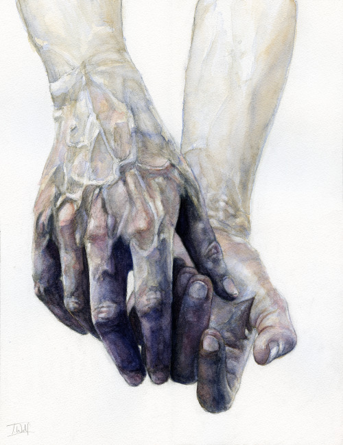 fuckyeahillustrativeart:Watercolour hands by Tom WolfFollow them on Tumblr!FacebookInstagram - @wolf