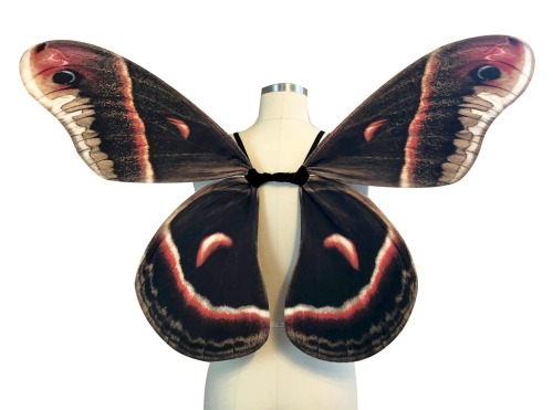 destinationtoast:sosuperawesome:Moth and Butterfly Costume WingsMoon Moth Wings on Etsy @significanc