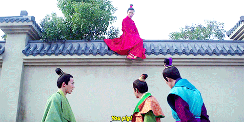 guzhuangheaven:when you’re trying to escape an arranged marriage but your friends are idiots