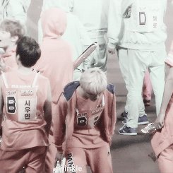 pandreos:  luhan coming over to bother a