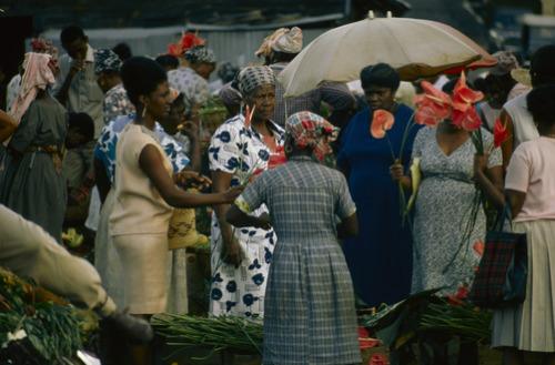 unrar:Island women purchase anthurium flowers at the market, Fort de France, Martinique, Windward Is