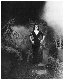 roncmerchant:  Vampira-PLAN 9 FROM OUTER