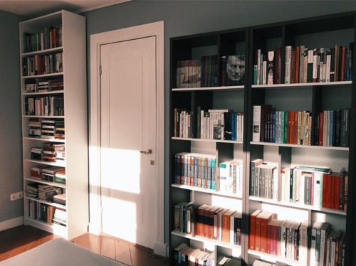 esarkaye:Light striking my bedroom bookshelves. ✨