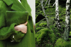 whereiseefashion:  Match #176 Details at Céline Fall 2013 | Forest with green moss and white trees More matches here