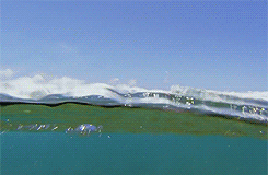 whiny-sugar-glider:  BBC Earth - Africa More gifs of animals. 