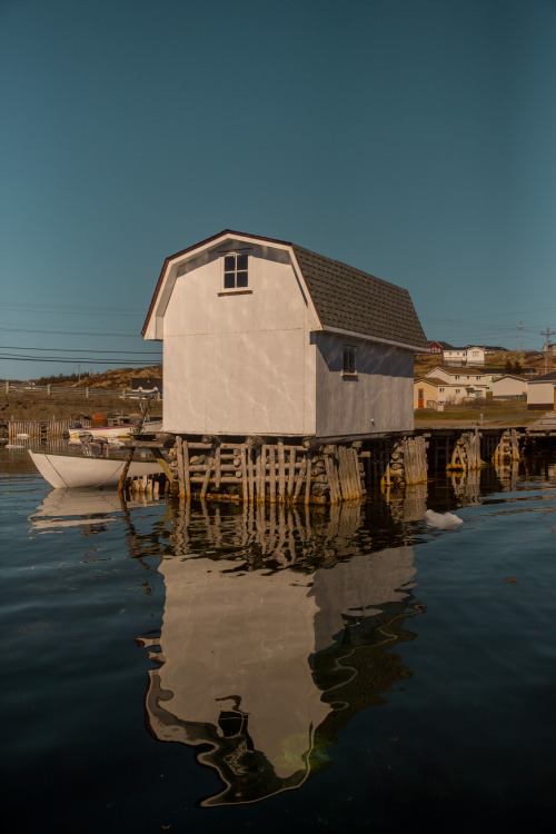 Newfoundland & Labrador - exploring the northeastern seaboard of canada - may 2019