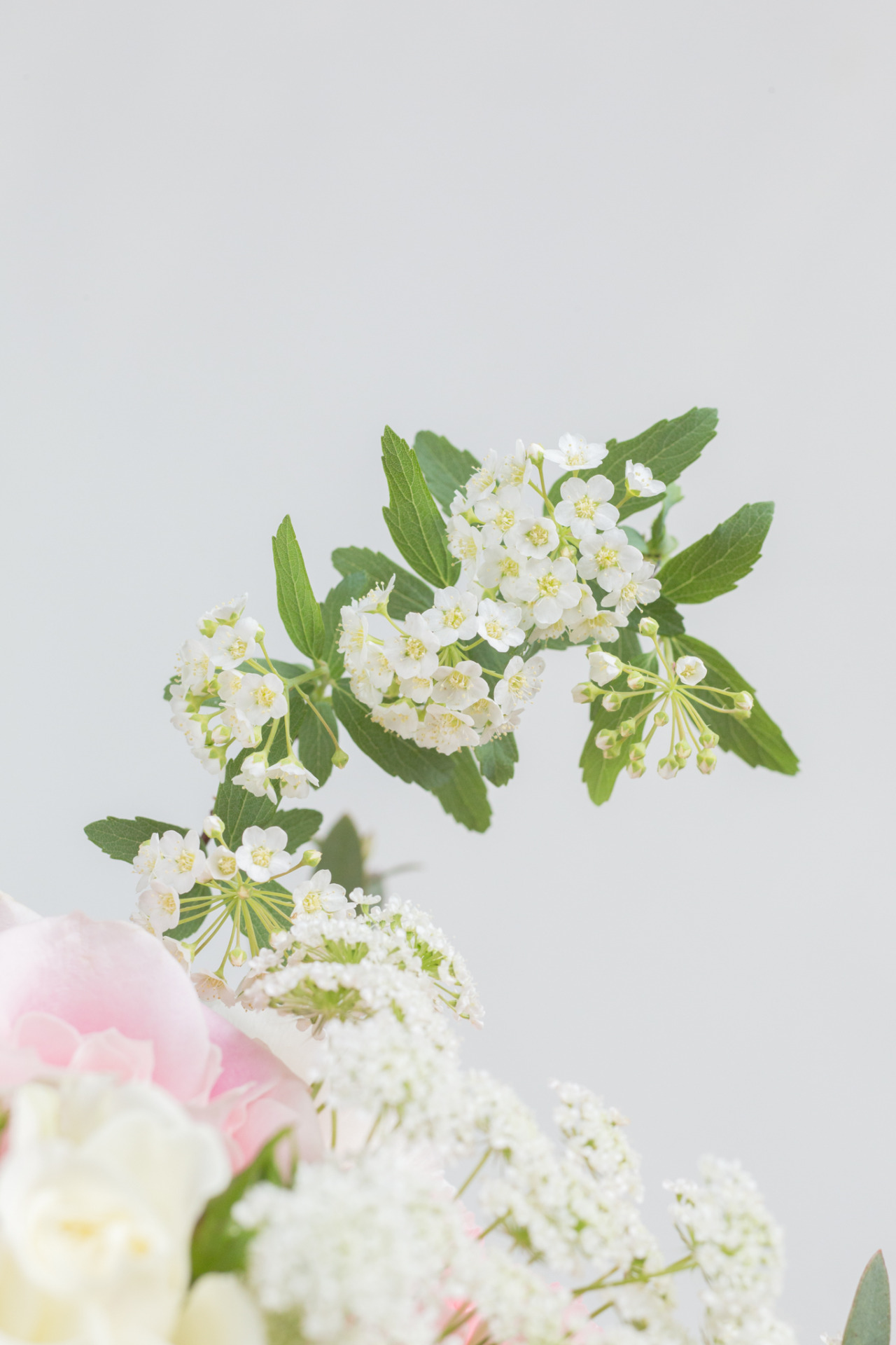 蕾絲花tumblr Posts Tumbral Com 蕾絲花tumblr Posts Tumbral Com