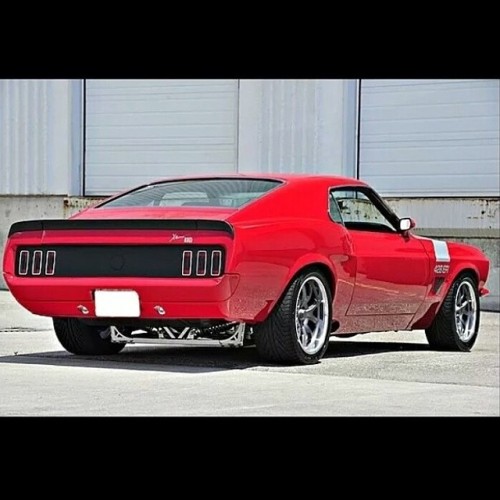 musclefords:  @Igfords #svt #ford #mustang tag -> #american_muscle_mustangs repost from @bigpistons / so sic .!