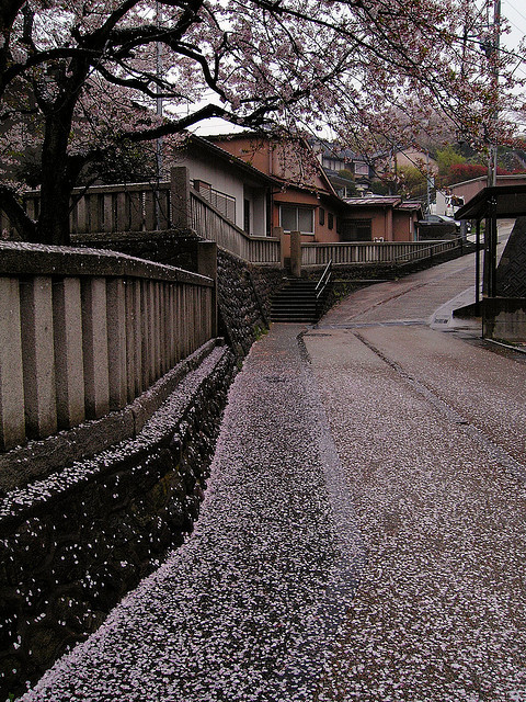 miariin:  Higashi Chaya District rainy day 
