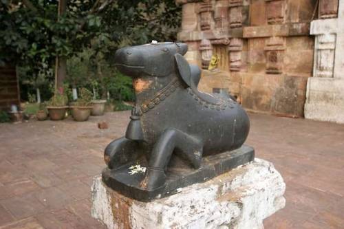 Nandi, Lord Shiva´s bull, Odisha