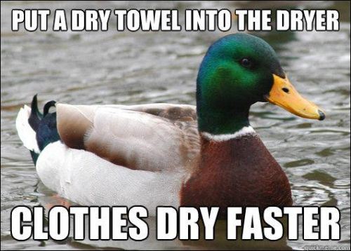 acquiesce-cronabunny:  sinkinlikestones:  moriartygodofmischief:  This duck is a fucking genius   Women understand women and they hate each other.  That last one is the best. I’m not even kidding. 