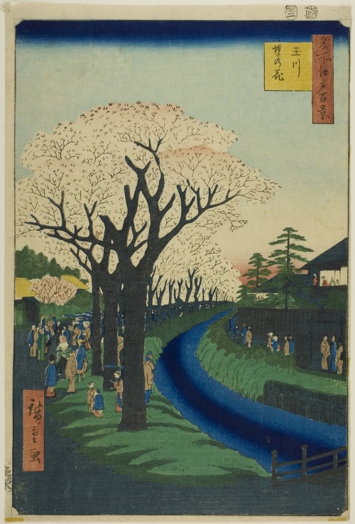 aic-asian: Blossoms on the Tama River Embankment (Tamagawa-zutsumi no hana), from the series “