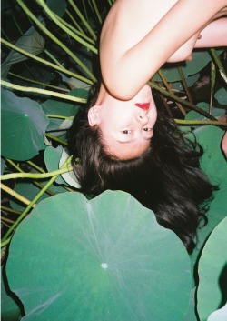 puthas:  Strange Plants II by Ren Hang