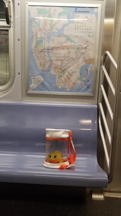 1863-project:Nintendo NYC had an egg incubator bag so I am now hatching Joltiks in the NYC Subway, j