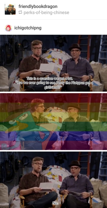 sidonspussy: art-ichoke:   ayellowbirds:  ambiguouslyevil:  helgageraldinepataki:  darkwingsnark:   vincedakota:  me thinkin abt how perry the platypus is Often referred to as an egg laying mammal, even in his theme song:  Not to forget when Candace was