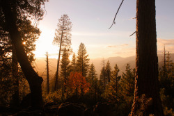 stepontotheplanet:  Sunset at Yosemite National