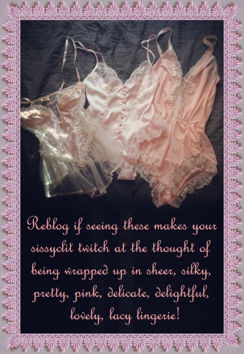 iamagaysissycarol: sissydave48: aegerine78: Reblog if you love lacy lingerie! Yes  I love lingerie I