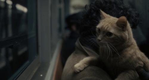 mydarktv: INSIDE LLEWYN DAVIS // Aesthetics