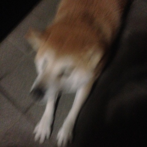 oage:  Ahhhhhhhh!!