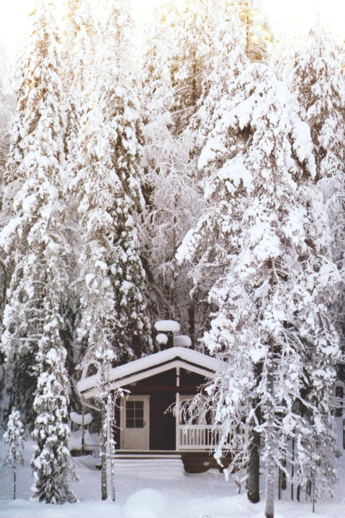 Cabin in Finland â† Karina Moraes