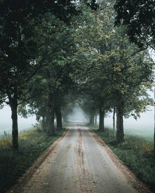 delta-breezes:Kassem Hijazi  | @kassemhijazi