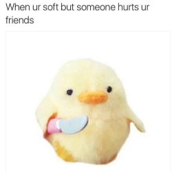 teraboolove:  georgetakei:  Don’t mess with my chick. #funny #meme #memes #teamtakei Click through to follow @TeamTakei on Instagram for more funny memes everyday.  @stylin-and-profilin Us